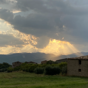 Lee más sobre el artículo Yo y mi complejidad: la Carta Astral como hoja de ruta