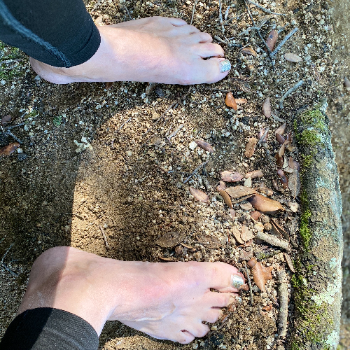 Lee más sobre el artículo Los elementos astrológicos