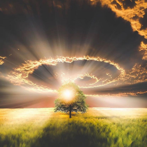 Lee más sobre el artículo Todo llega