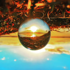 Lee más sobre el artículo Aprendizaje taurino