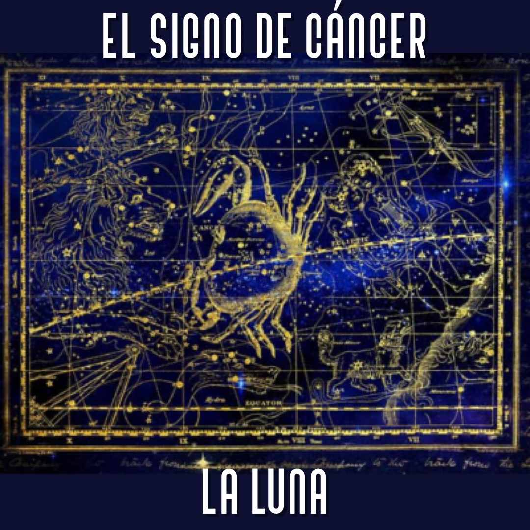 Lee más sobre el artículo Cáncer y la Luna