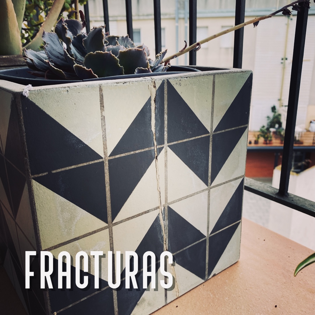 Lee más sobre el artículo Fracturas