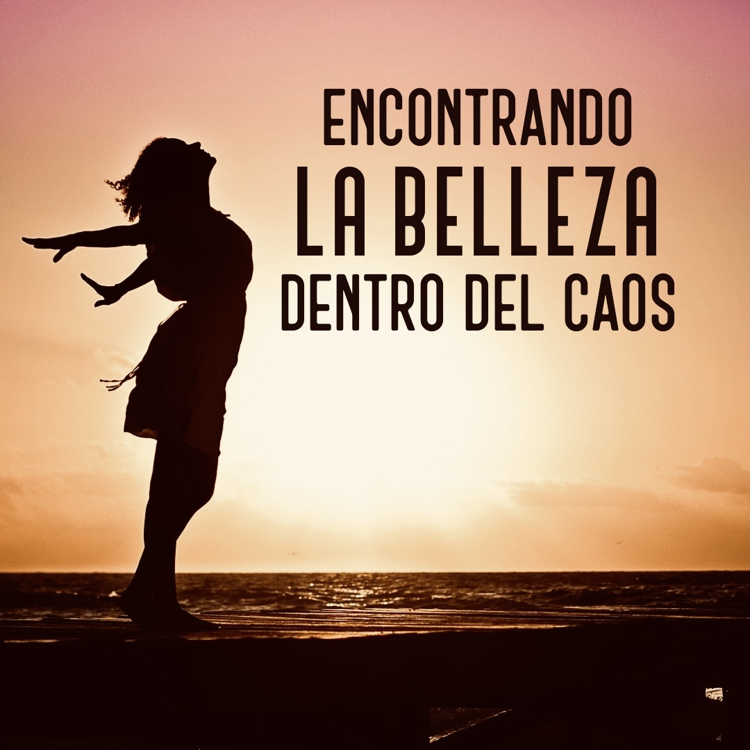 Lee más sobre el artículo La belleza dentro del caos